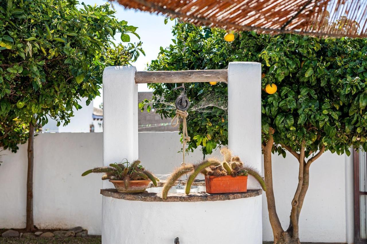 Cortijo Villa La Dehesa كونيل ذي لا فرونتيرا المظهر الخارجي الصورة